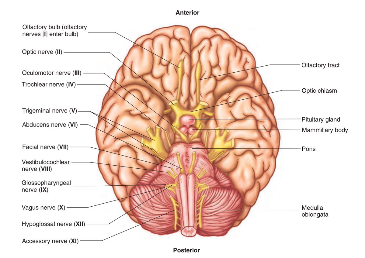 f:id:Parashraama:20191128164756j:plain