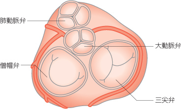 f:id:Parashraama:20191129160140j:plain
