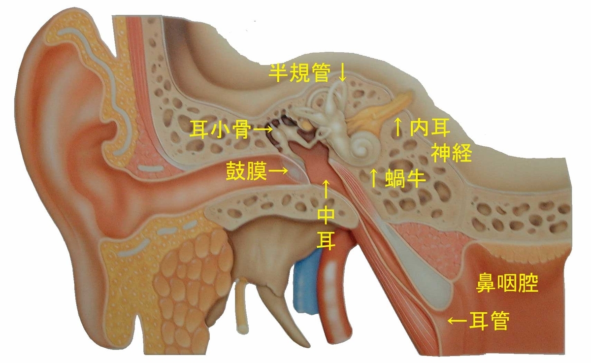 f:id:Parashraama:20191219161757j:plain