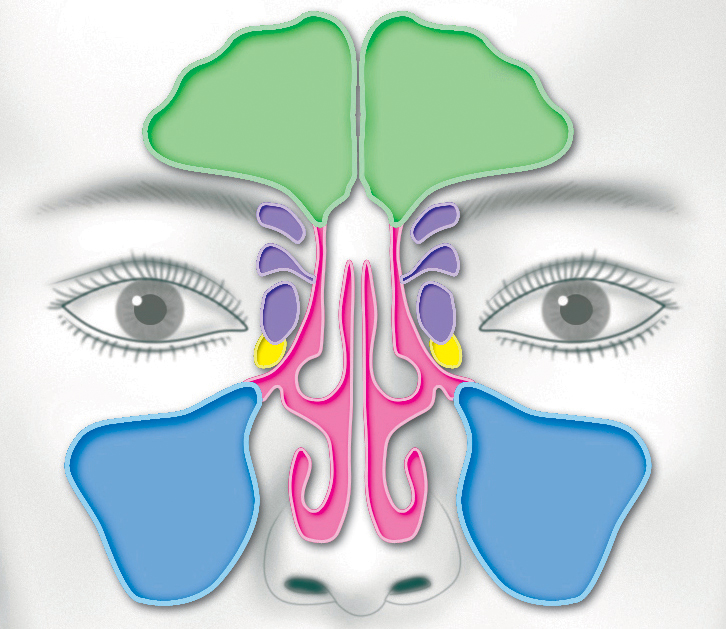 f:id:Parashraama:20191219165328j:plain