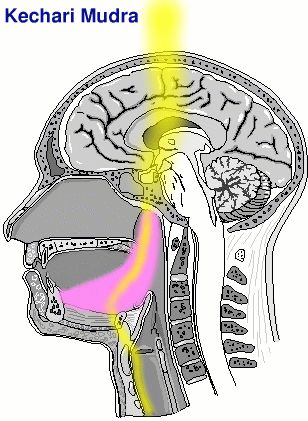 f:id:Parashraama:20191220163754j:plain