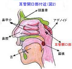 f:id:Parashraama:20191220164259j:plain