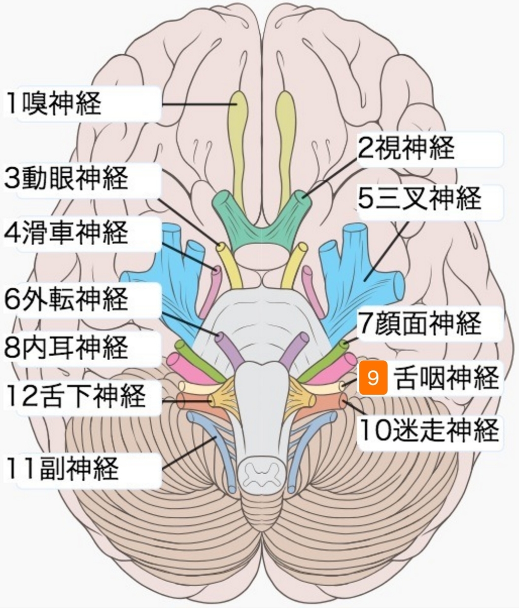 f:id:Parashraama:20191222124808j:plain f:id:Parashraama:20191222124808j:plain