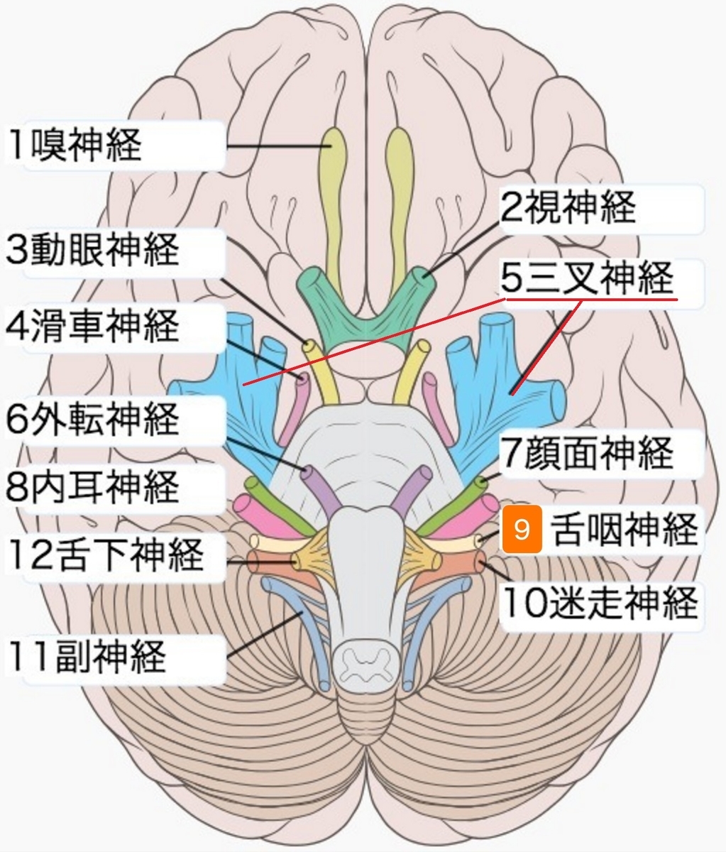 f:id:Parashraama:20200126185352j:plain f:id:Parashraama:20200126185352j:plain