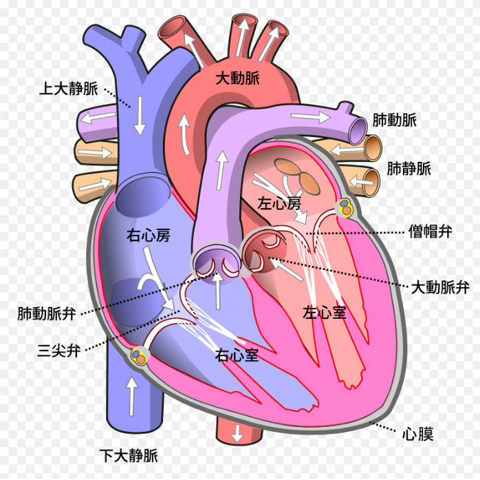 f:id:Parashraama:20200204161604p:plain f:id:Parashraama:20200204161604p:plain