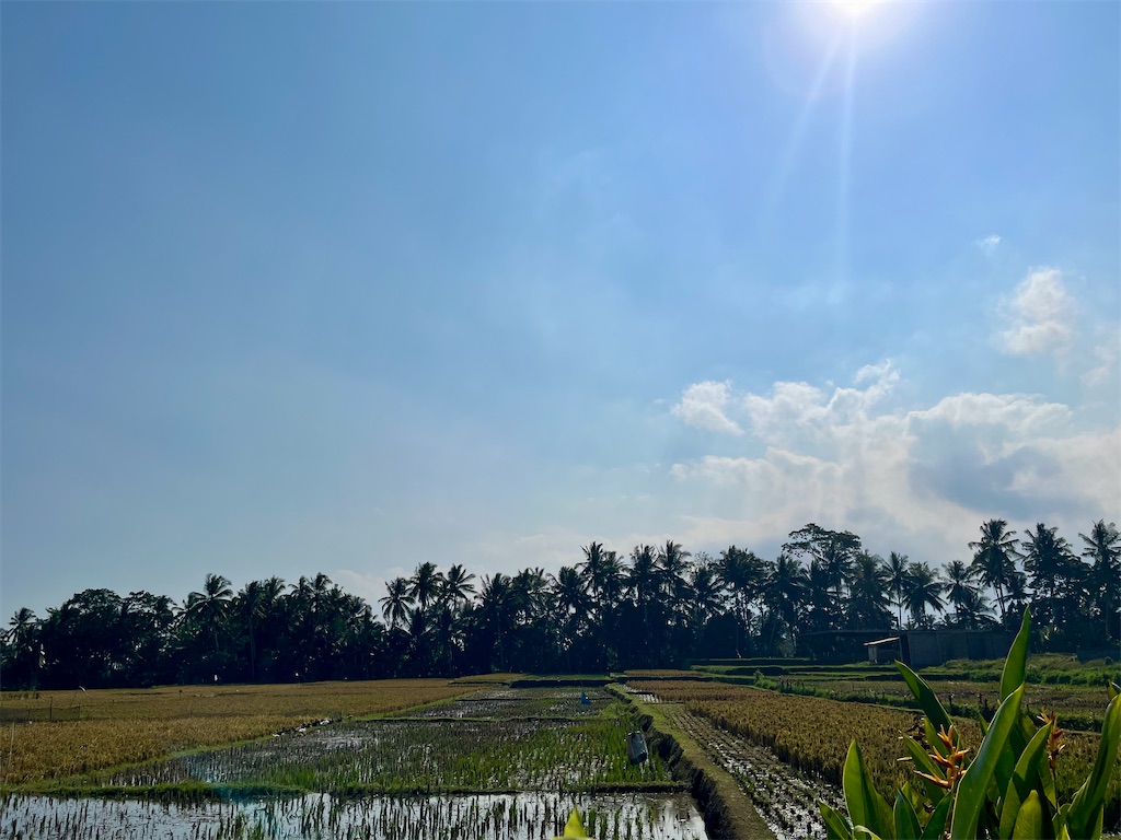 f:id:PasarKumangmang:20260715092620j:image