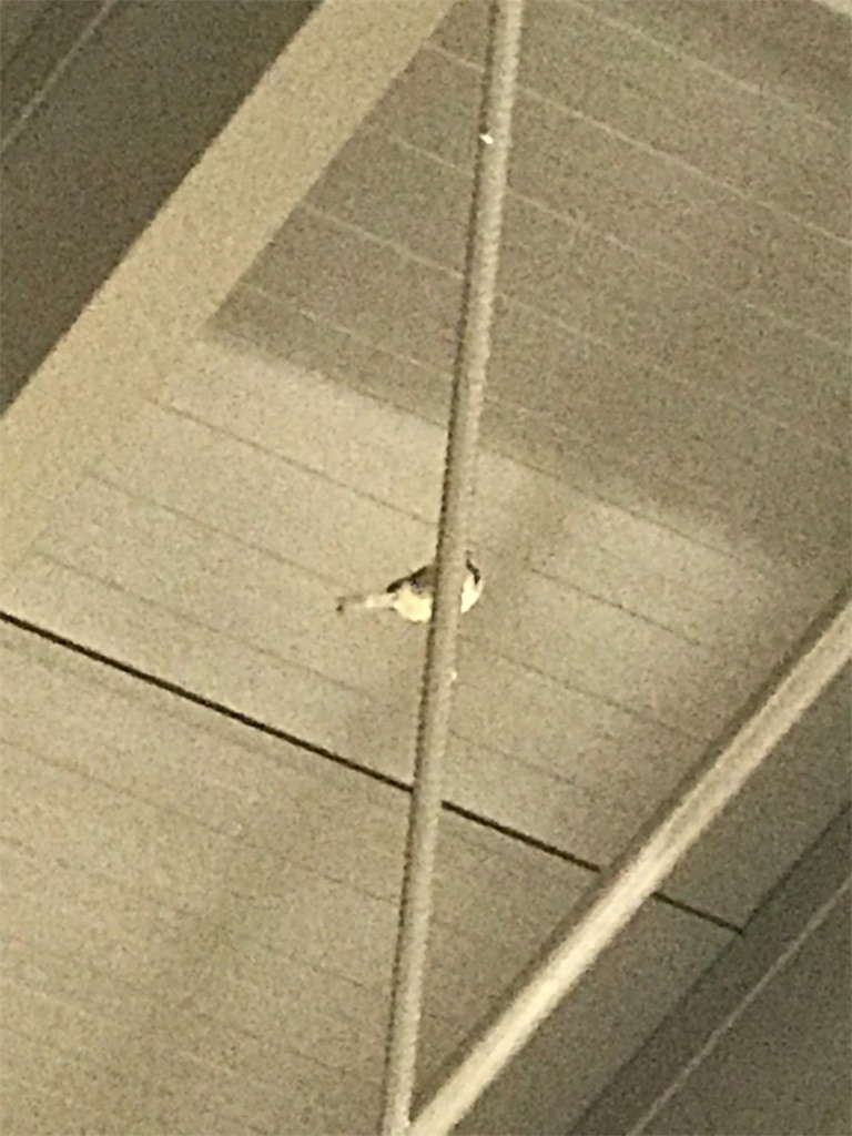 f:id:PassingJK:20190209172109j:image