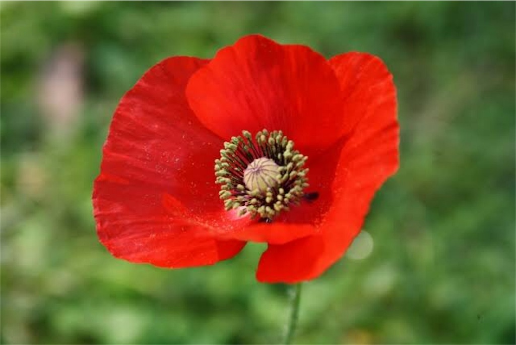 f:id:PassingJK:20190426170218j:image