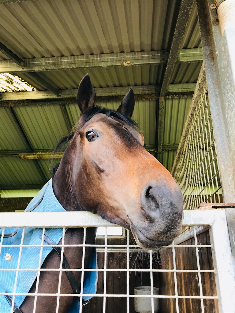 f:id:PassingJK:20191030174621j:image