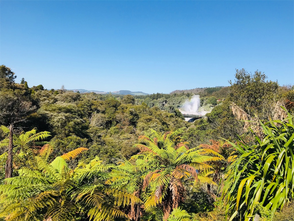 f:id:PassingJK:20191104190336j:image