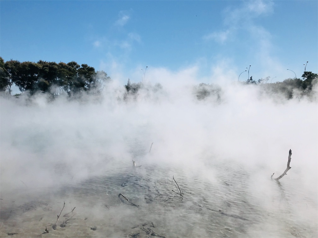 f:id:PassingJK:20191105183034j:image