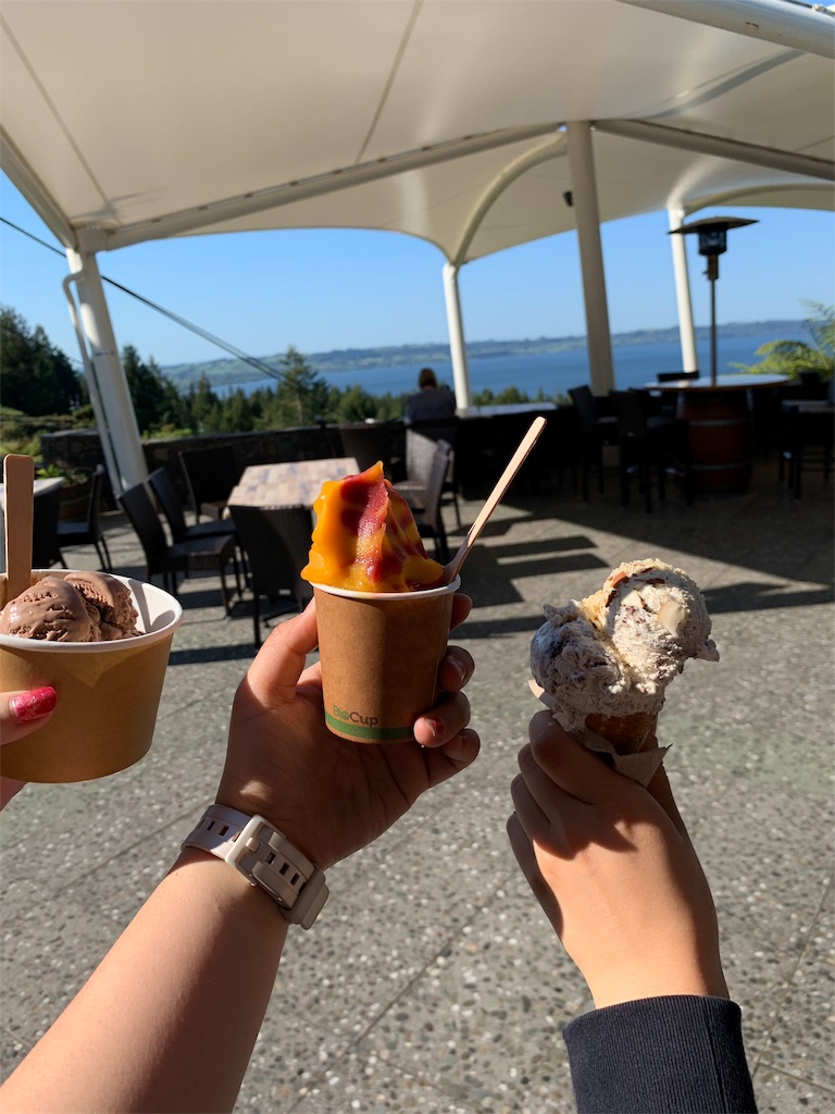 f:id:PassingJK:20191105184332j:image