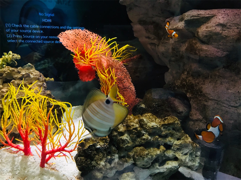 f:id:PassingJK:20191110182054j:image