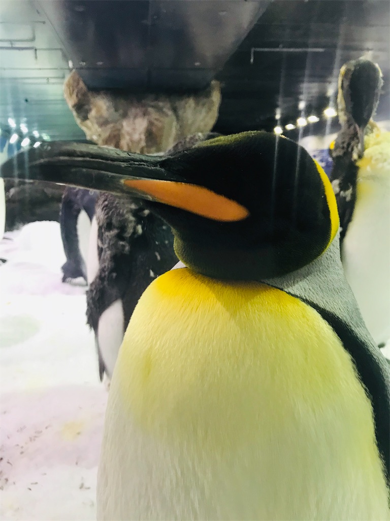 f:id:PassingJK:20191110182100j:image