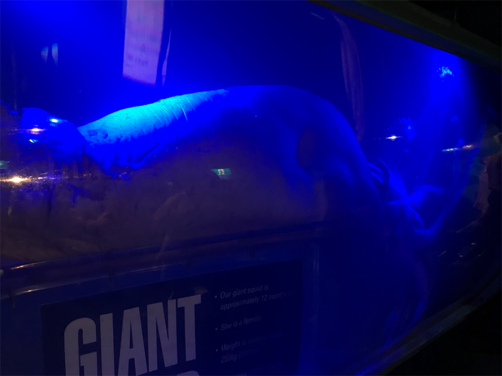 f:id:PassingJK:20191110182105j:image