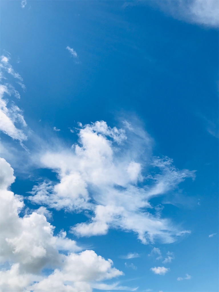 f:id:PassingJK:20191113075616j:image