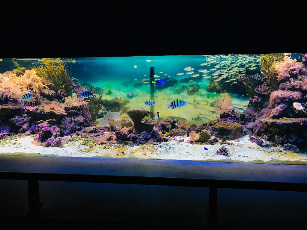 f:id:PassingJK:20191113075622j:image