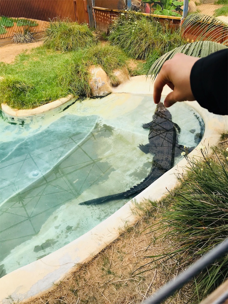 f:id:PassingJK:20191113092255j:image