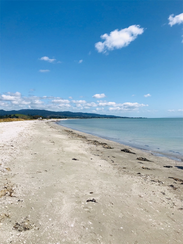 f:id:PassingJK:20191114182040j:image