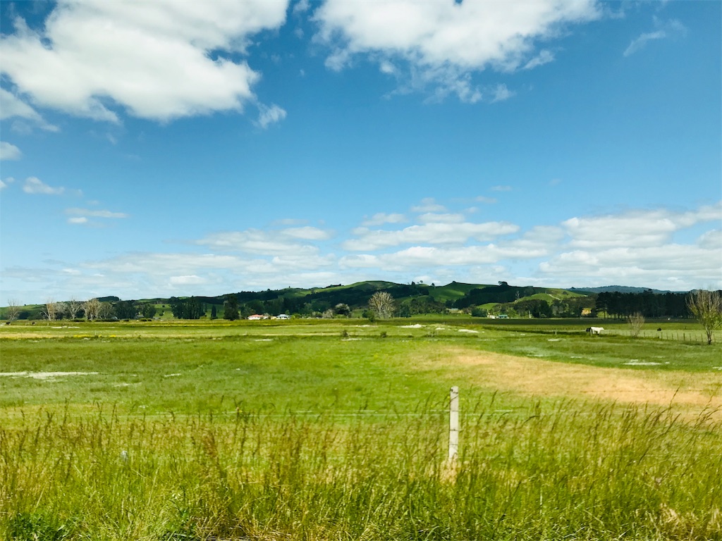 f:id:PassingJK:20191114182058j:image