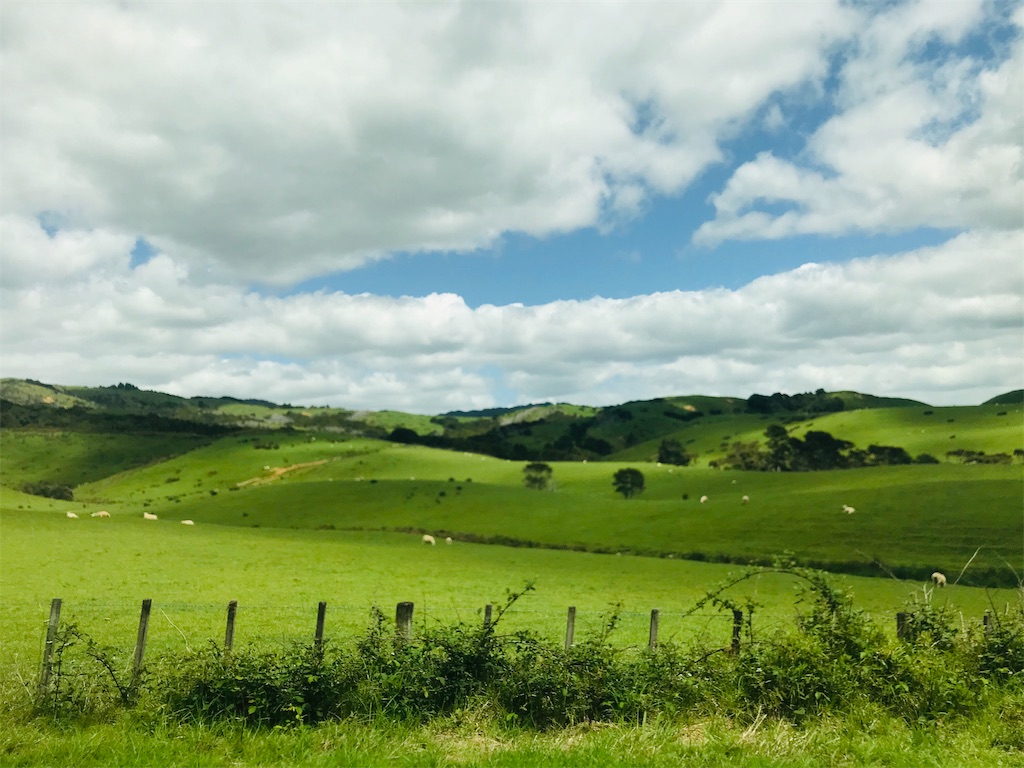 f:id:PassingJK:20191114182111j:image