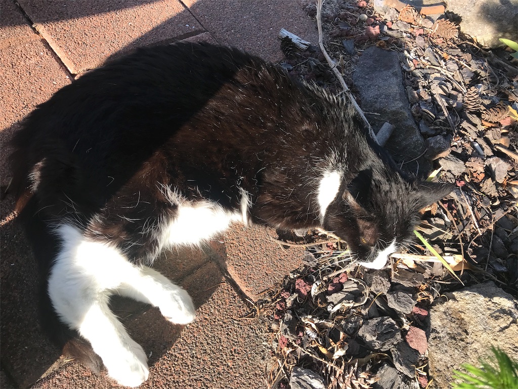 f:id:PassingJK:20191116072546j:image