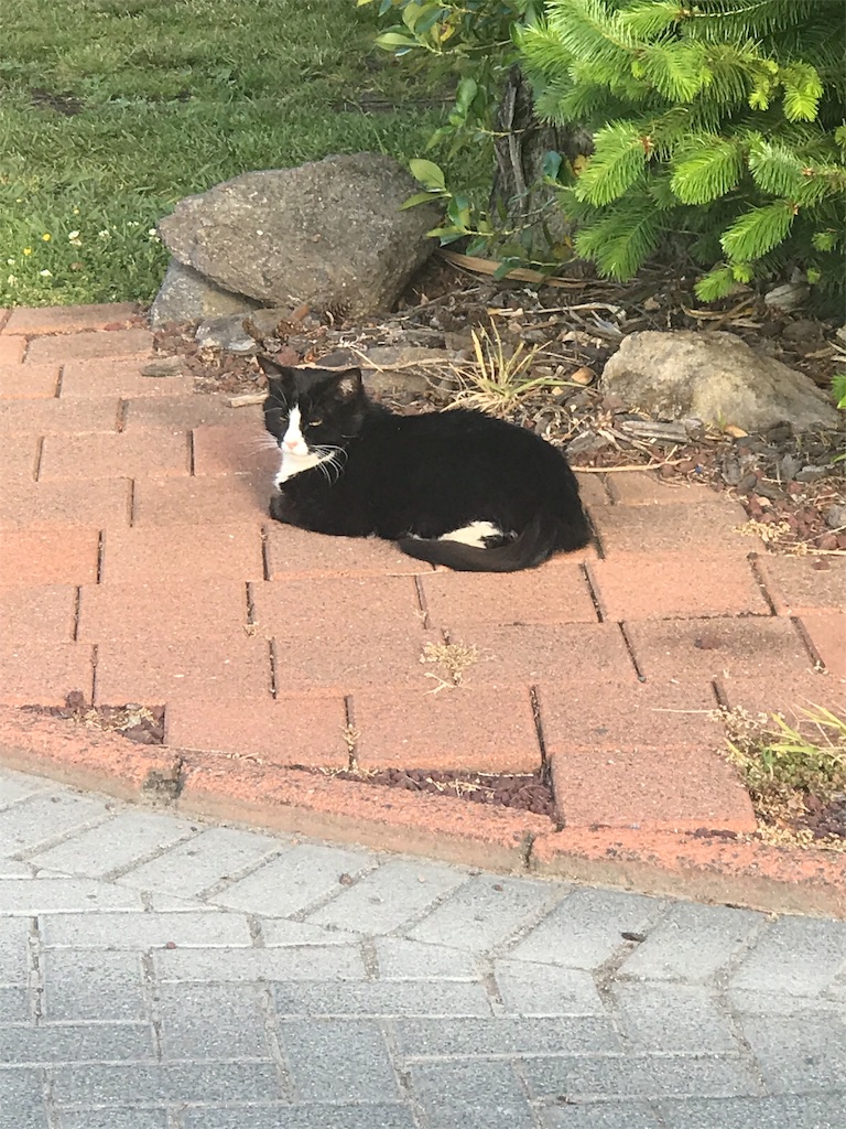 f:id:PassingJK:20191116072620j:image