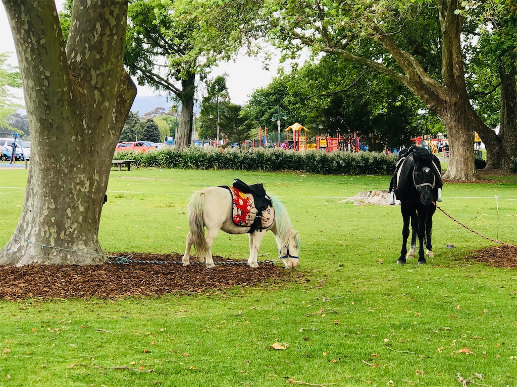 f:id:PassingJK:20191118182820j:image