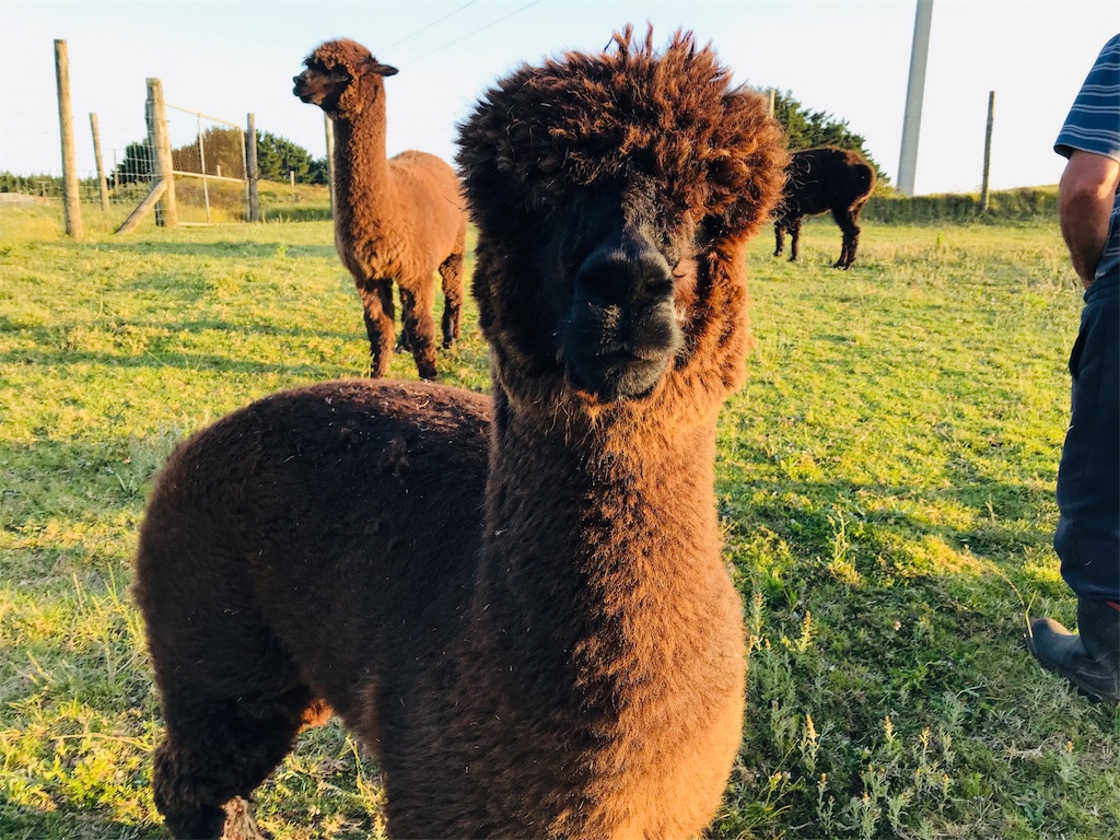 f:id:PassingJK:20191128185640j:image