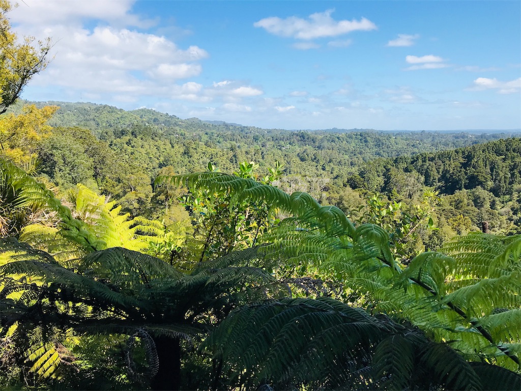 f:id:PassingJK:20191128185727j:image