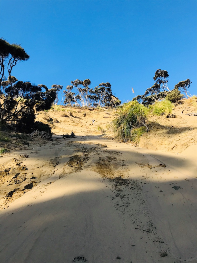 f:id:PassingJK:20191128185737j:image