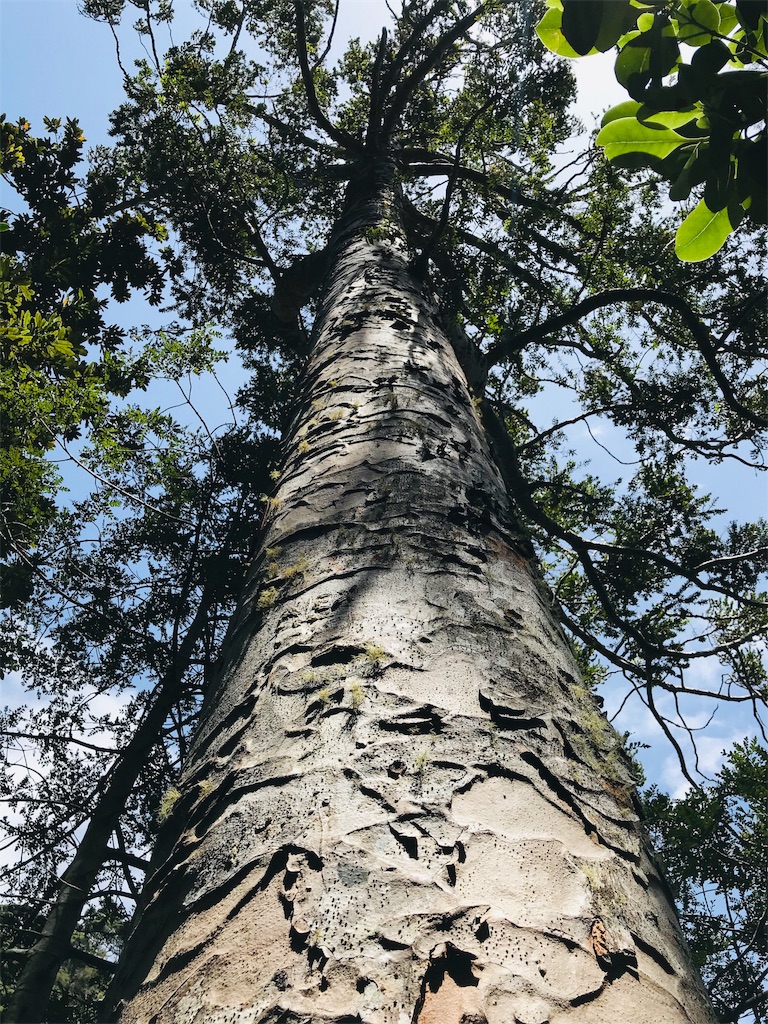 f:id:PassingJK:20191128185835j:image