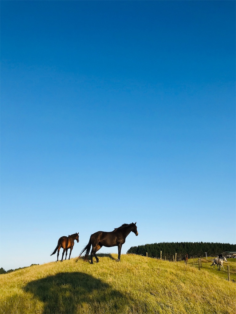 f:id:PassingJK:20191128185915j:image