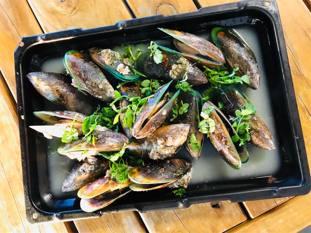 f:id:PassingJK:20191128185927j:image