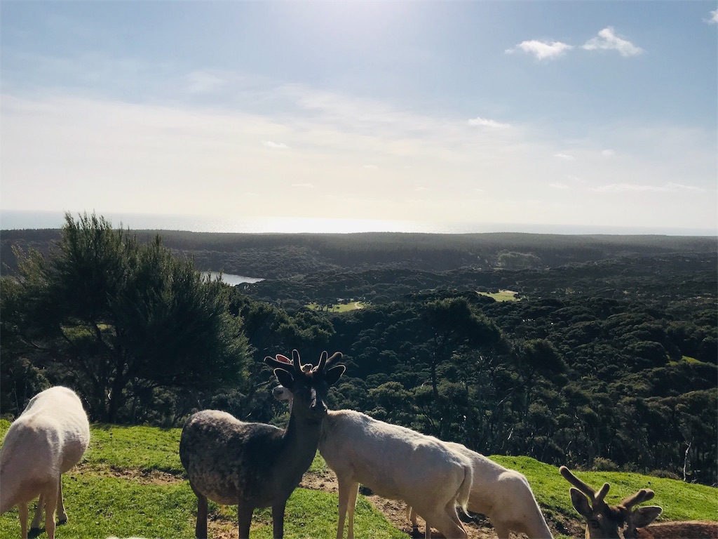 f:id:PassingJK:20191128185932j:image