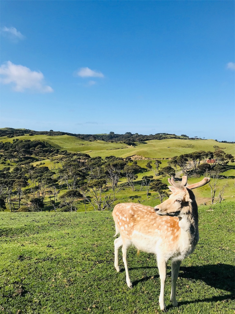 f:id:PassingJK:20191128185956j:image