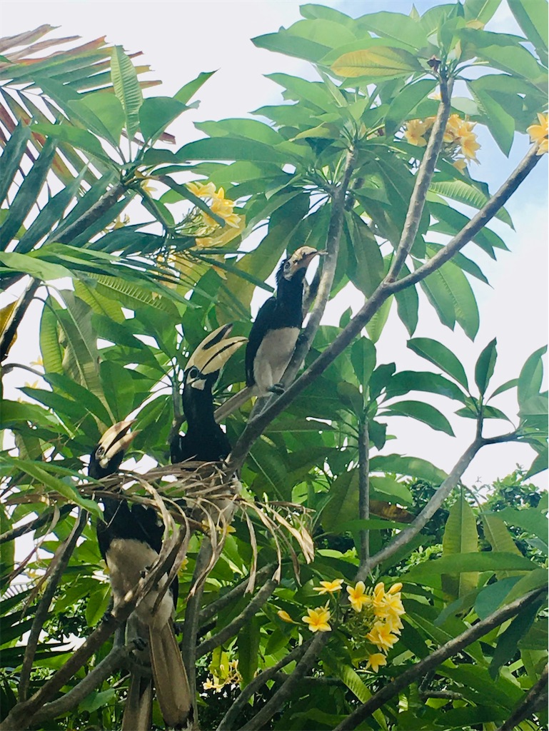 f:id:Paulinasg:20200524204942j:image f:id:Paulinasg:20200524204942j:image