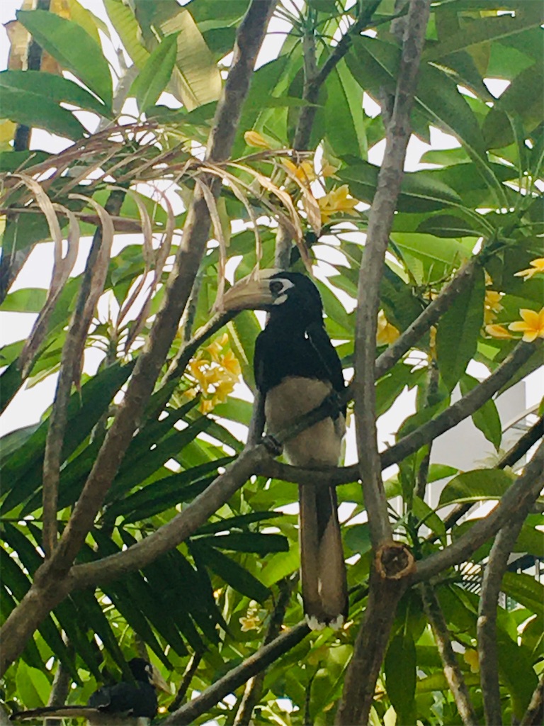 f:id:Paulinasg:20200524204948j:image f:id:Paulinasg:20200524204948j:image