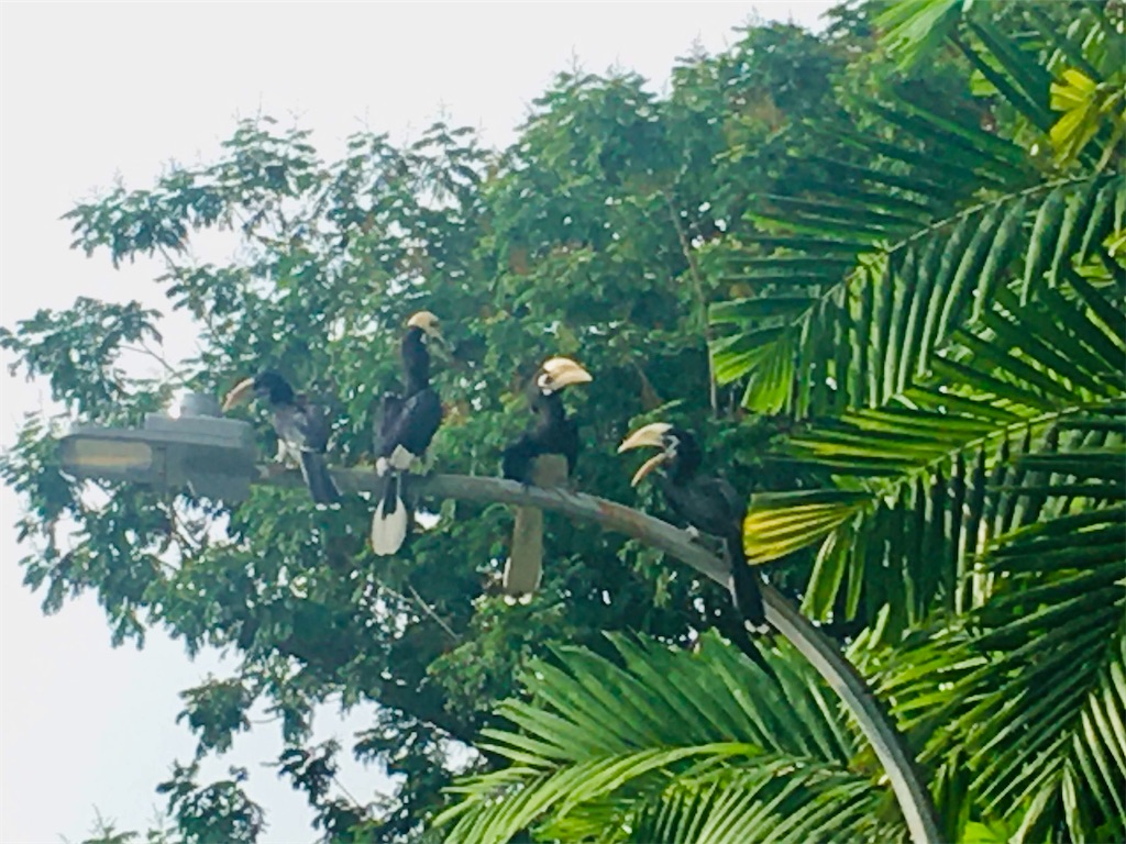 f:id:Paulinasg:20200524205010j:image f:id:Paulinasg:20200524205010j:image