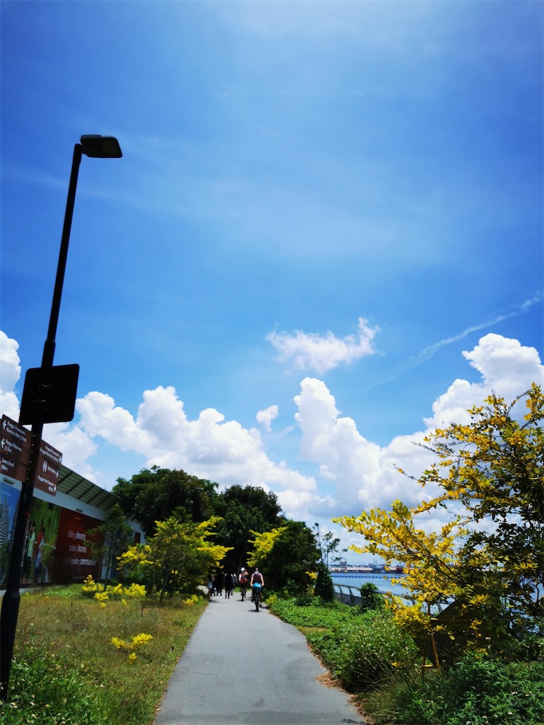 f:id:Paulinasg:20200903104813j:image f:id:Paulinasg:20200903104813j:image