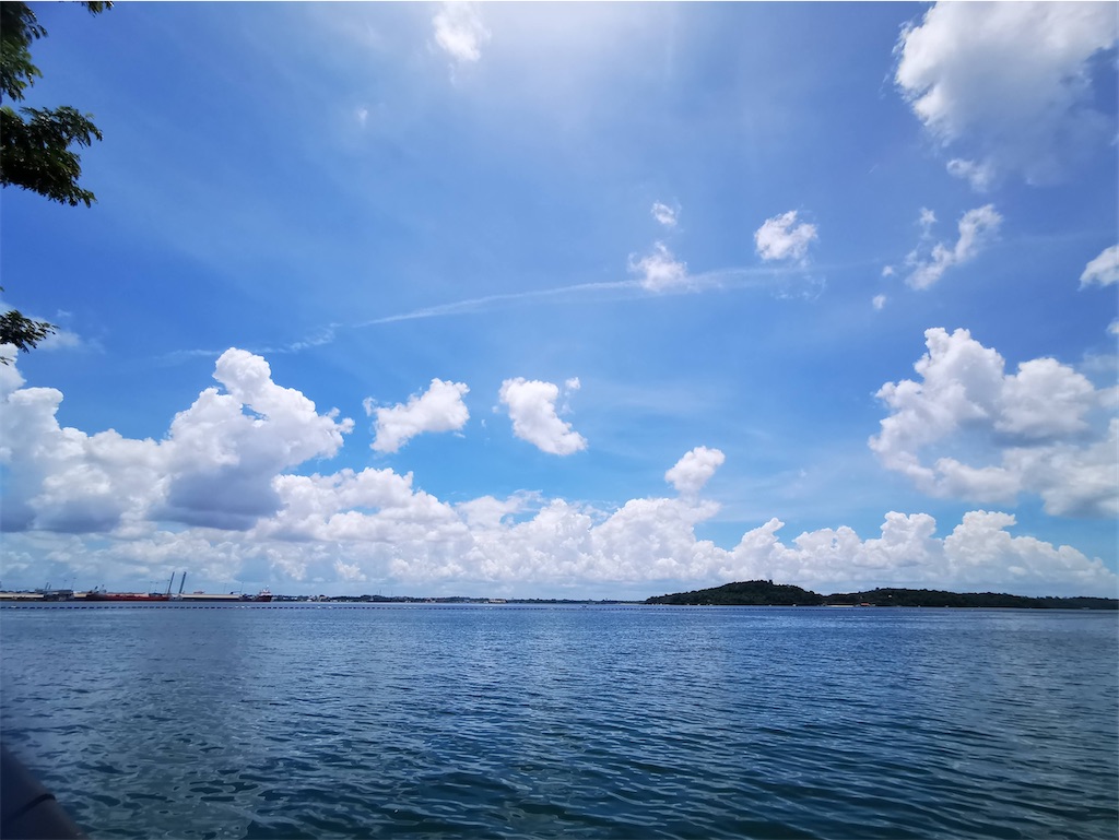 f:id:Paulinasg:20200903104839j:image f:id:Paulinasg:20200903104839j:image