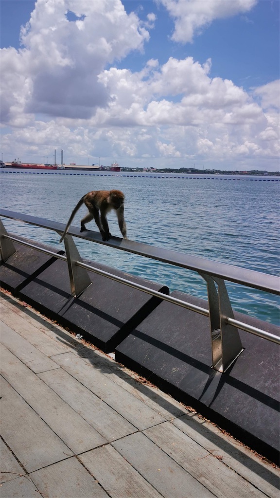 f:id:Paulinasg:20200903104922j:image f:id:Paulinasg:20200903104922j:image