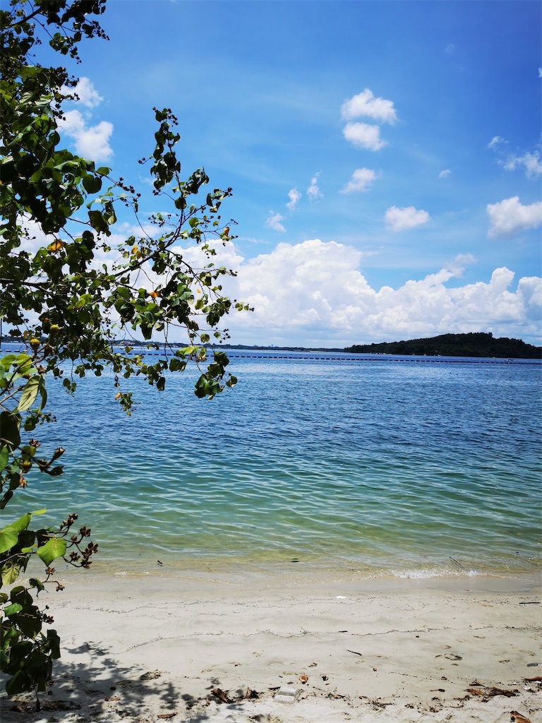 f:id:Paulinasg:20200903104935j:image f:id:Paulinasg:20200903104935j:image