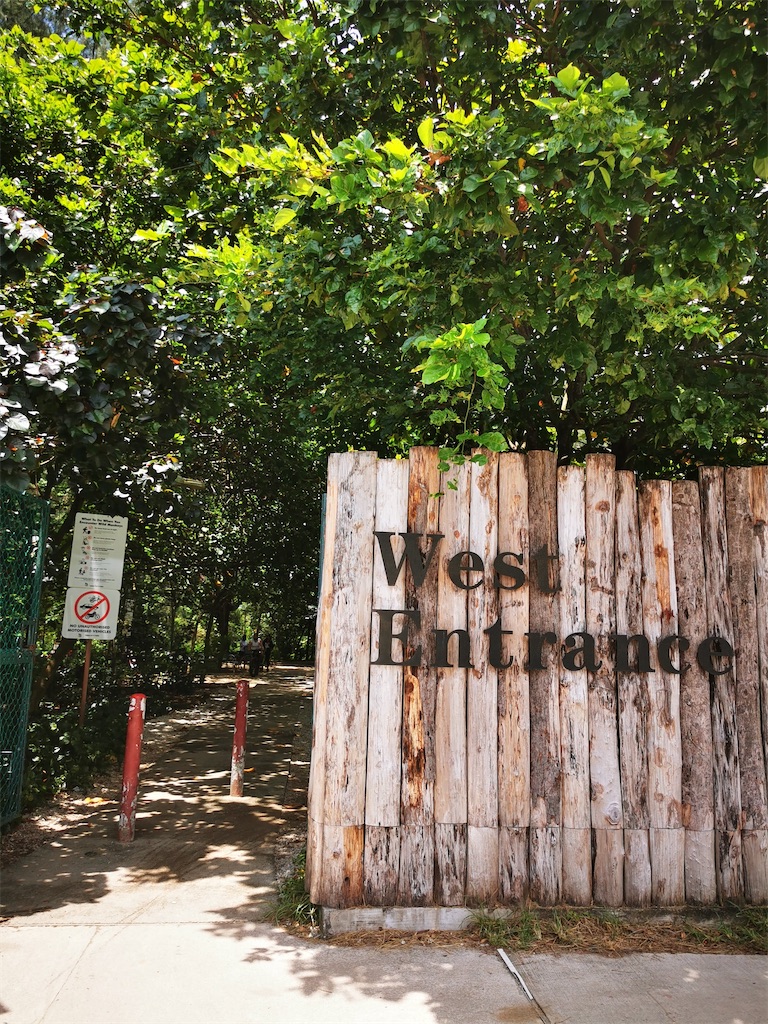 f:id:Paulinasg:20200903110023j:image f:id:Paulinasg:20200903110023j:image