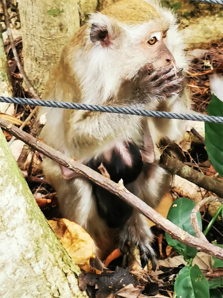 f:id:Paulinasg:20200903110032j:image f:id:Paulinasg:20200903110032j:image