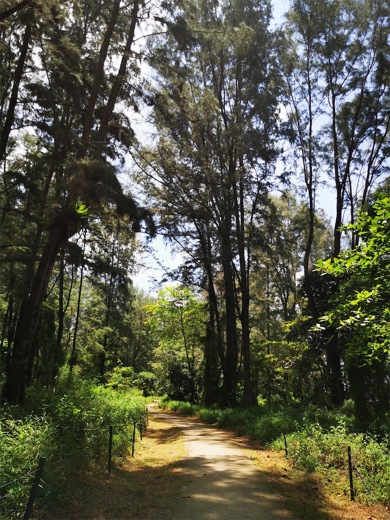 f:id:Paulinasg:20200903110044j:image f:id:Paulinasg:20200903110044j:image