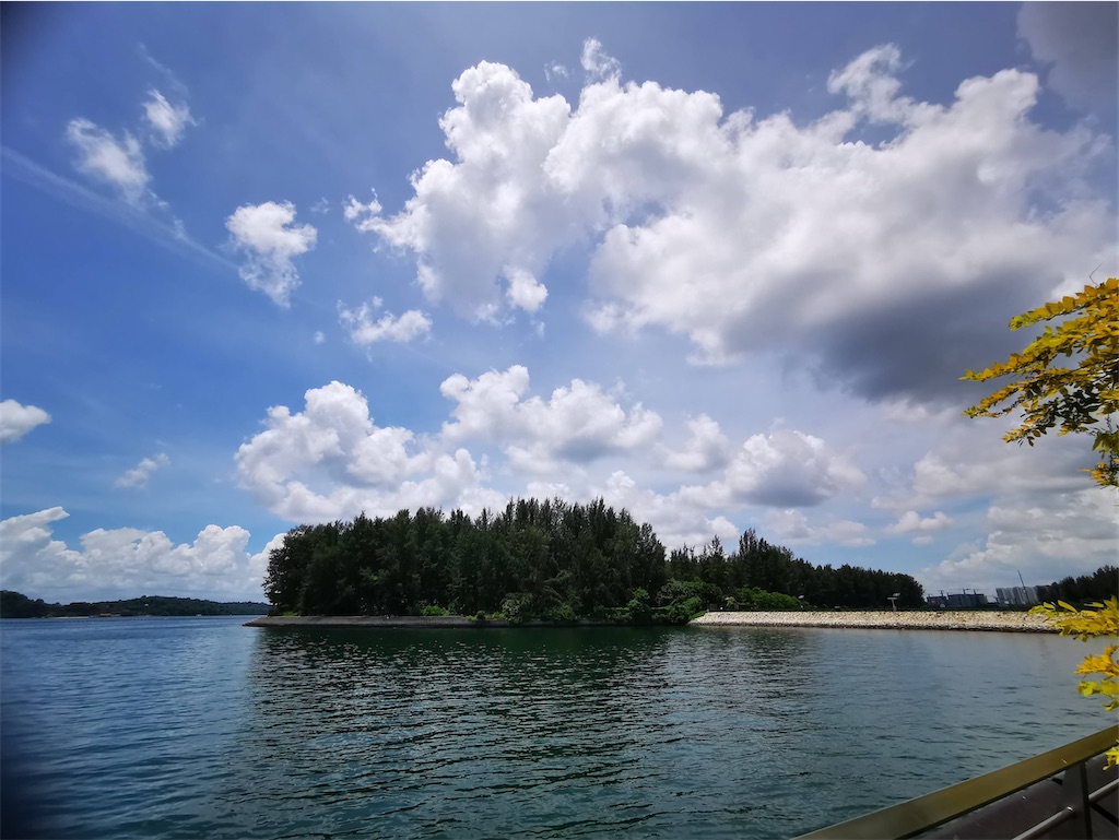 f:id:Paulinasg:20200903110150j:image f:id:Paulinasg:20200903110150j:image