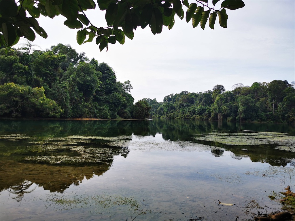 f:id:Paulinasg:20210323170324j:image