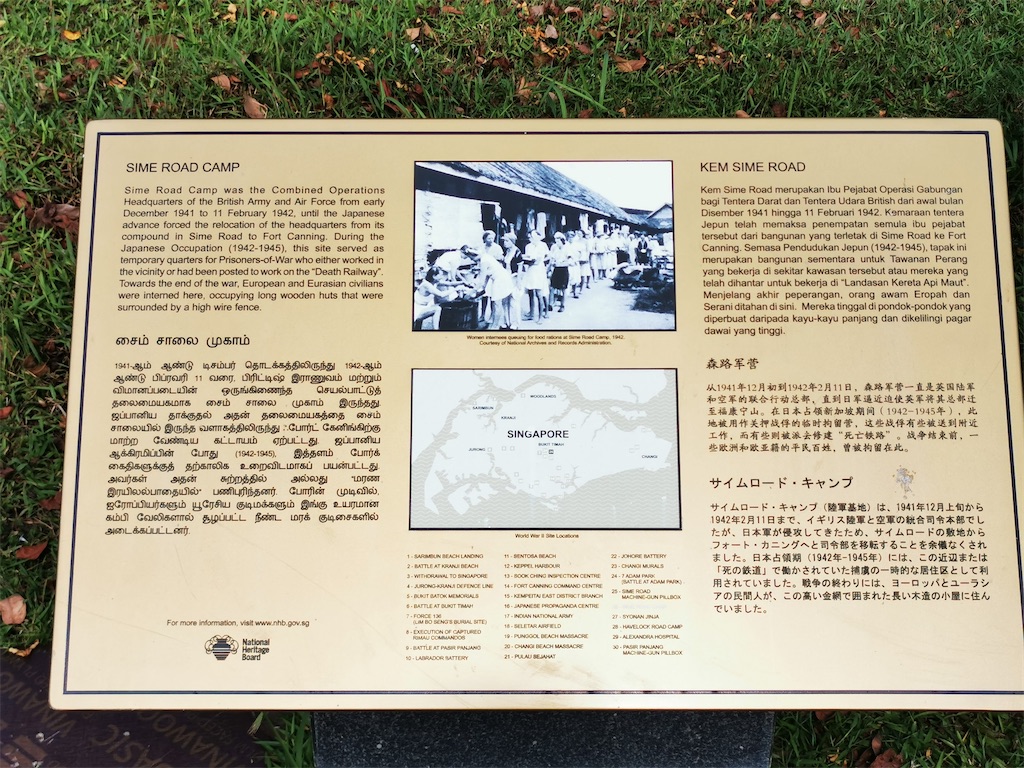 f:id:Paulinasg:20210514171657j:image