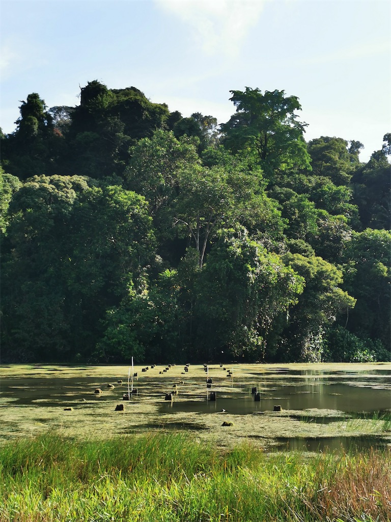 f:id:Paulinasg:20210514171700j:image